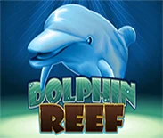 Dolphin Reef PT